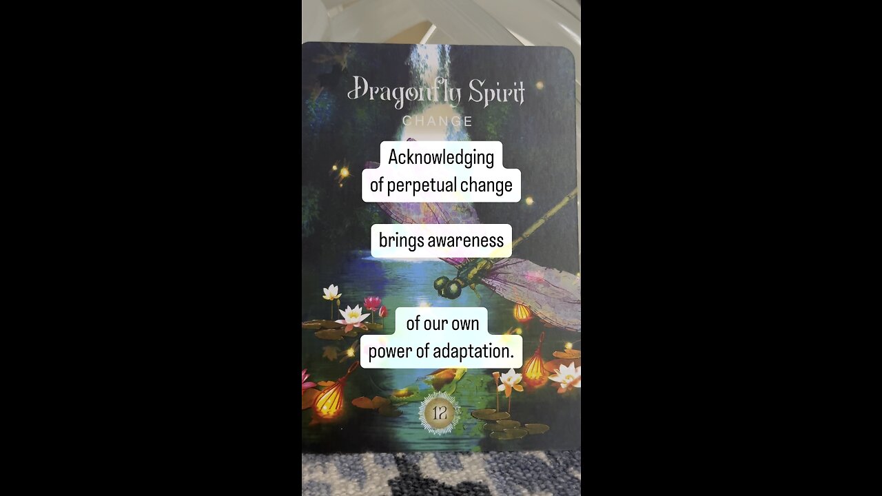 ORACLE MESSAGE (for you) Sacred Forest deck by Denise Linn #oracle #tarotary #dailycard #allsigns