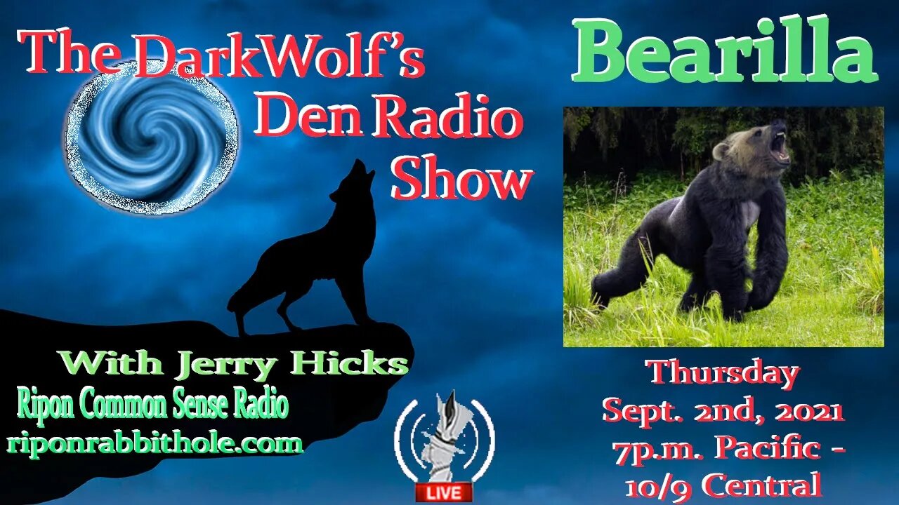 🐺The DarkWolf's Den Radio Show🐺EP 110: Bearilla