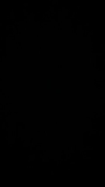 Hurricane Ian relief