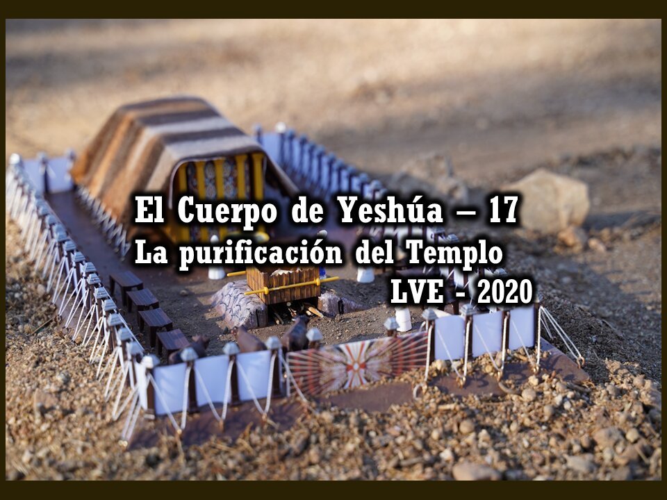 El Cuerpo de Yeshúa 17 - La purificación del Templo 2