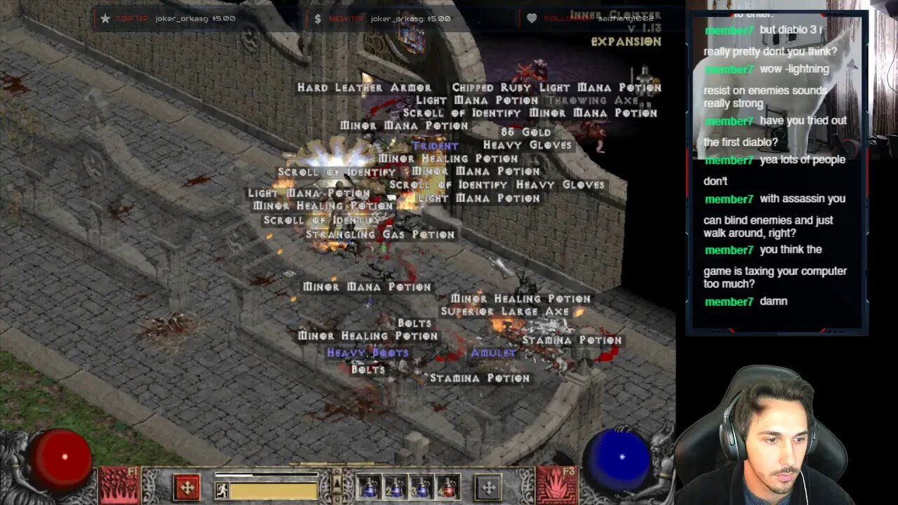 Diablo 2 Rando - All the enemies!