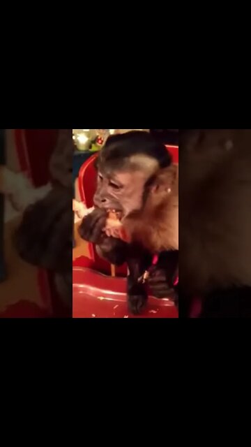 This short video popped up in my memories from 5 years ago today of 4 year old Baby Gaitlyn #shorts