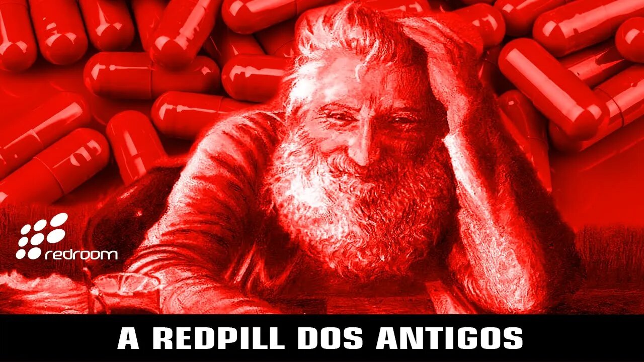 A REDPILL DOS ANTIGOS (RACCOONING RACCOON)