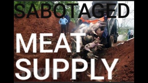 What you're NOT being told about the MEAT supply