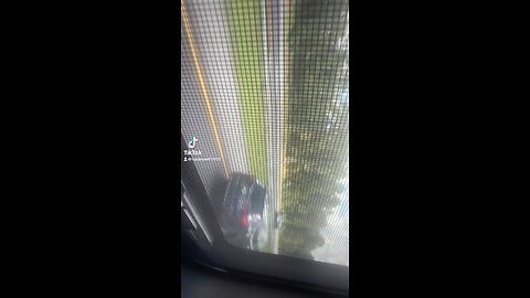 Road trip