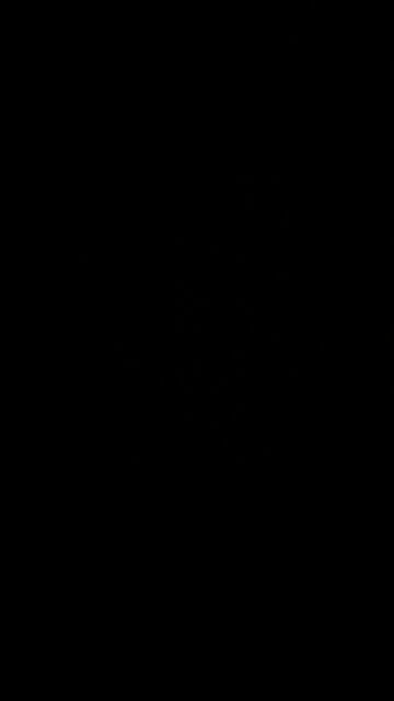 Salty Triscuit Crackers