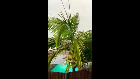 Gold Coast Storm #Shorts