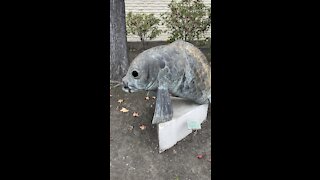 Bronze Carp Statue