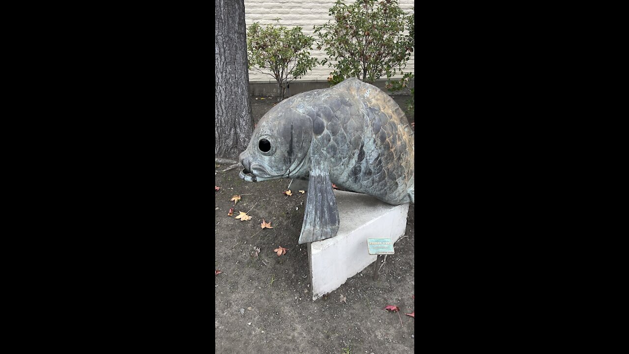 Bronze Carp Statue