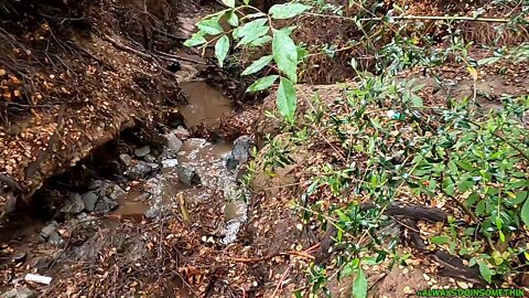 First time seeing stream on new property