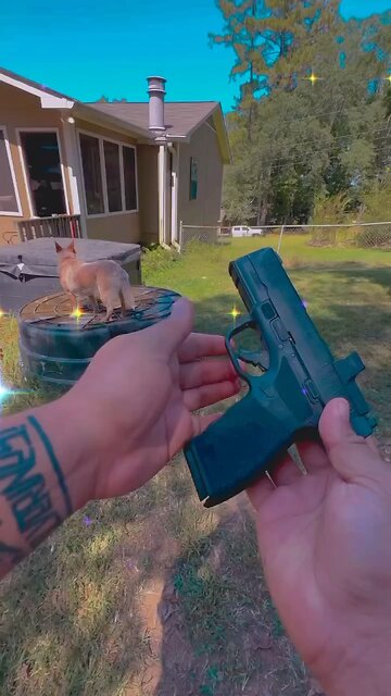 Taylor Swift August Meme Challenge - XDMAN Style