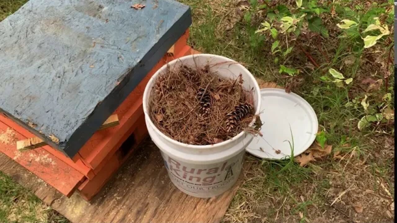 Sept 26, 2020 INSULATED TOPS & OPEN FEEDING HONEY