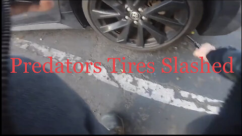 Predators get their tires slashed & drive away