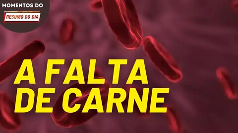 Uma em cada três crianças está com anemia no Brasil | Momentos do Resumo do Dia