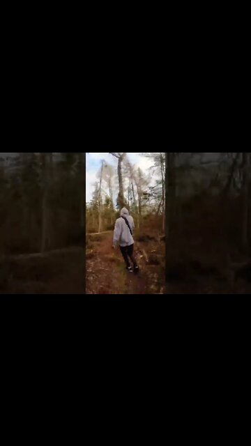 Escaping from the lost forest