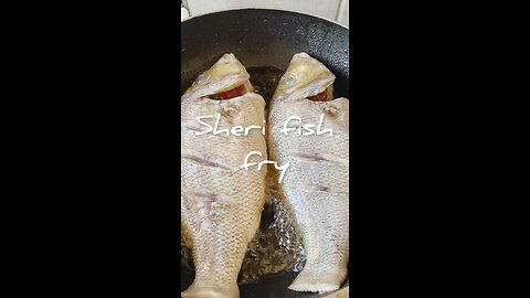 Sheri fish fry