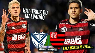 PEDRO DESTRUIU O VÉLEZ COM HAT-TRICK | Vélez 0 x 4 Flamengo | Melhores Momentos | DE GOLEADA