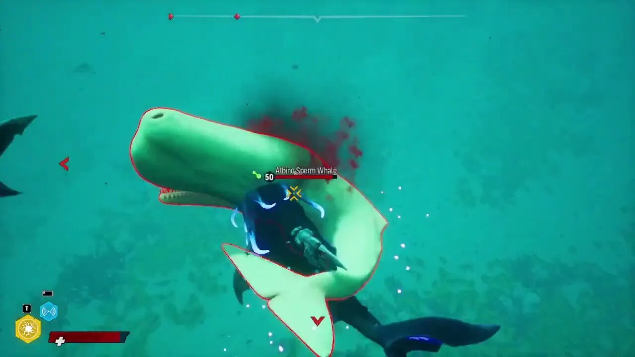 I finally found an Albino Sperm Whale in Maneater!