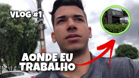 MEU DIA *o que eu faço?:* #VLOG 01