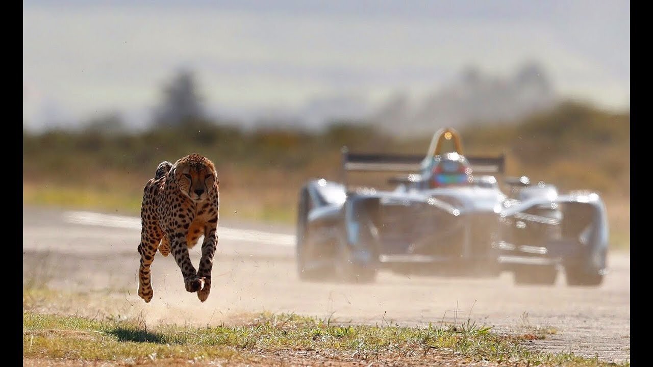 cheeter vs formula car