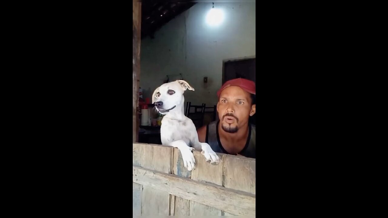 Look at this puppy?