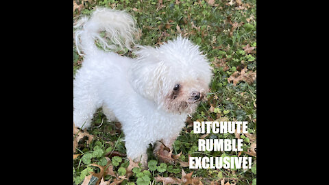 Rumble/Bitchute Exclusive Hot Take: Dec 9th News Blast!