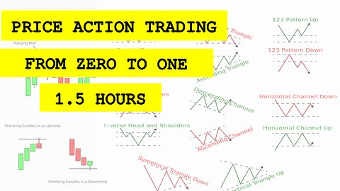 Rookie Trader Learns Price Action Trading in 1.5 hours