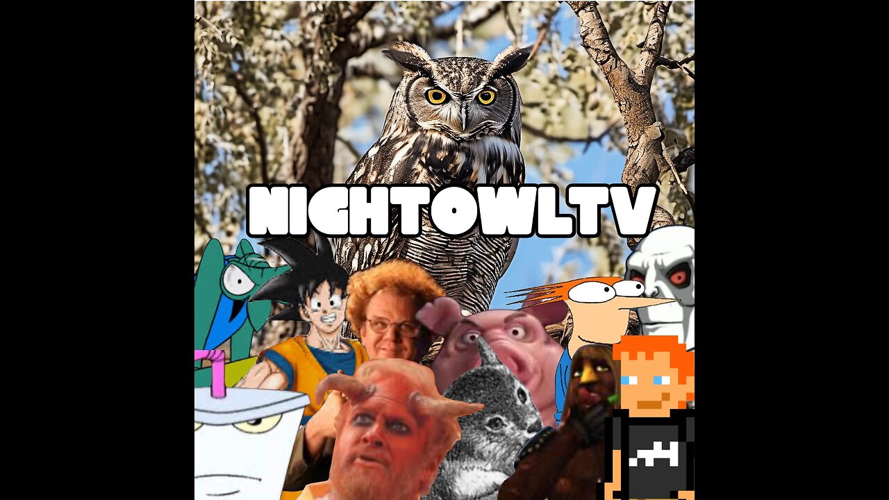 ADULT SWIM / MTV / COMEDY CENTRAL BOOTLEG BROADCAST NIGHTOWLTV #13