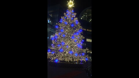 크리스마스 트리