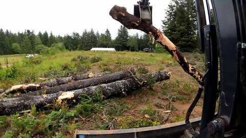 Excavator clearing trees