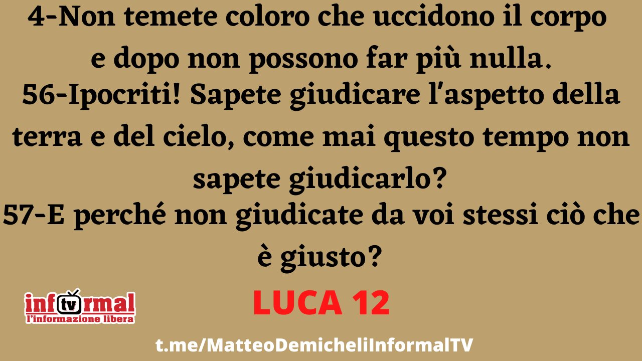 LUCA 12