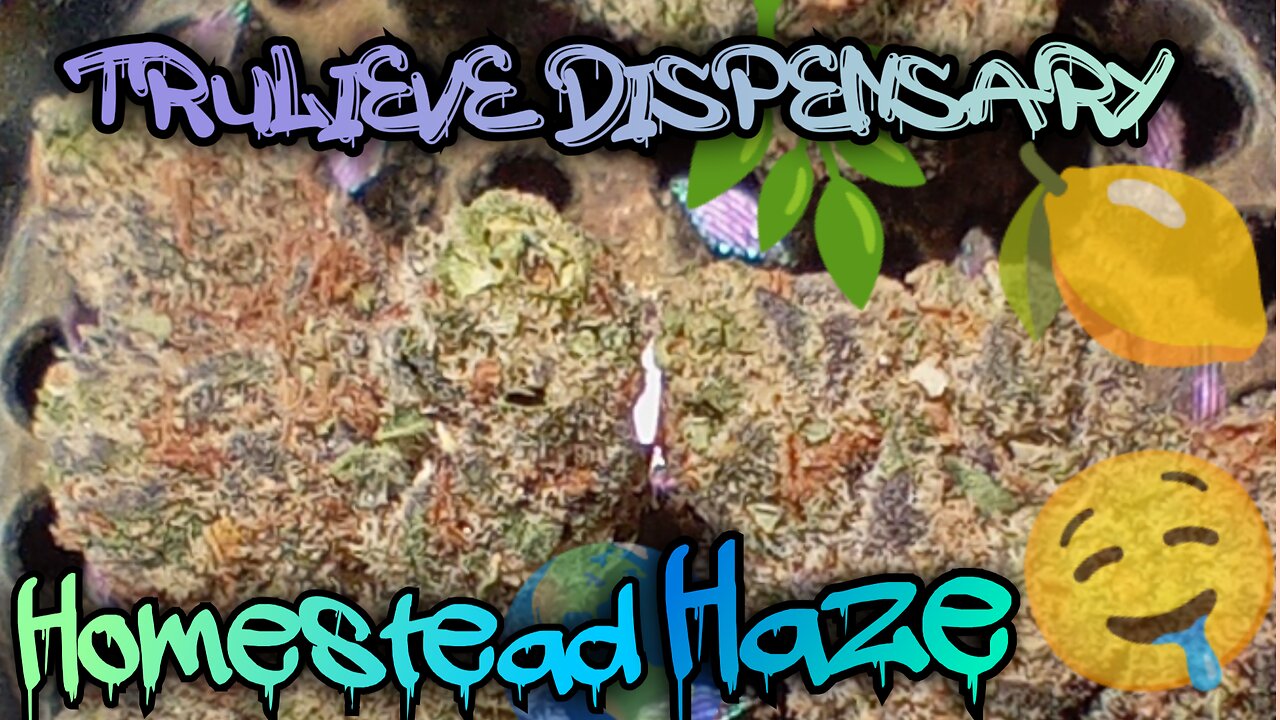 #116 Homestead Haze ( Official Video Product Review) Trulieve Dispensary Product