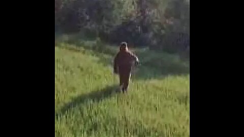 Possible Bigfoot Video Real or Hoax