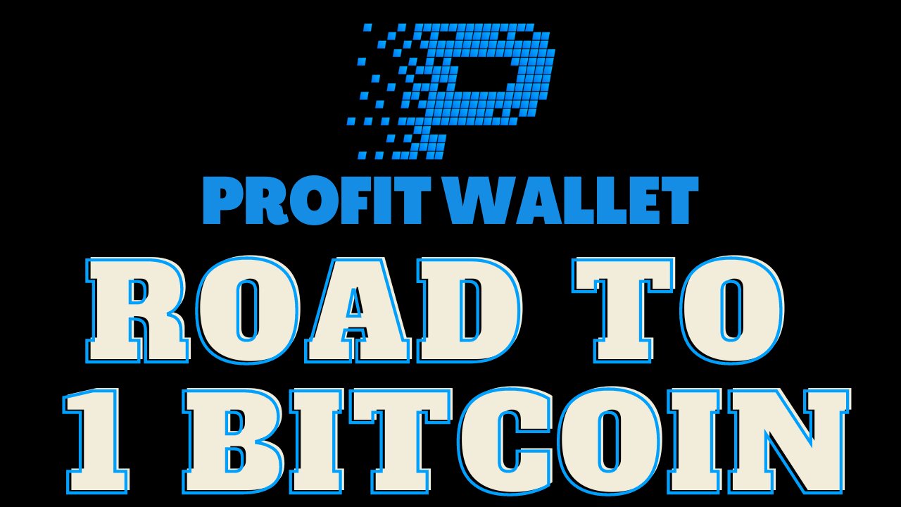 MEIN WEG ZU 1 BITCOIN MIT PROFIT WALLET | 2022 (Deutsch)