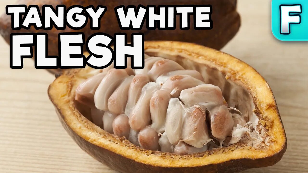 The Fruit That Grows Around Chocolate | Cacao Fruit | Fruits You've Never Heard Of