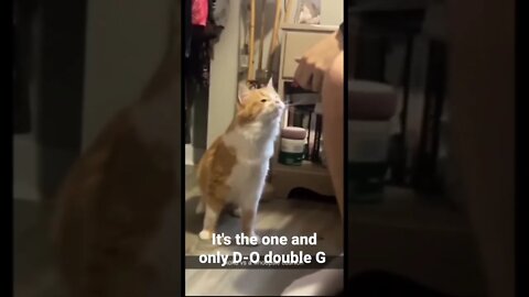 MEME is the one and only D-O double G #shorts