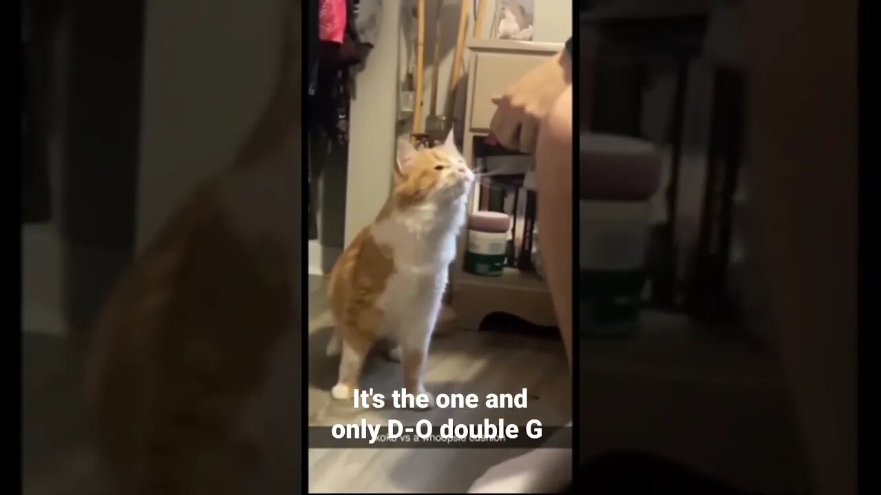 MEME is the one and only D-O double G #shorts