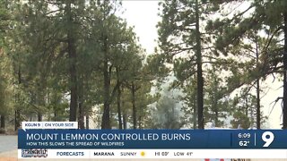 Mount Lemmon prescribed burns