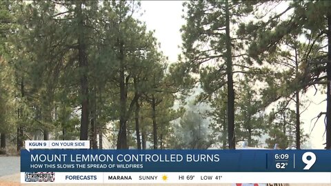 Mount Lemmon prescribed burns