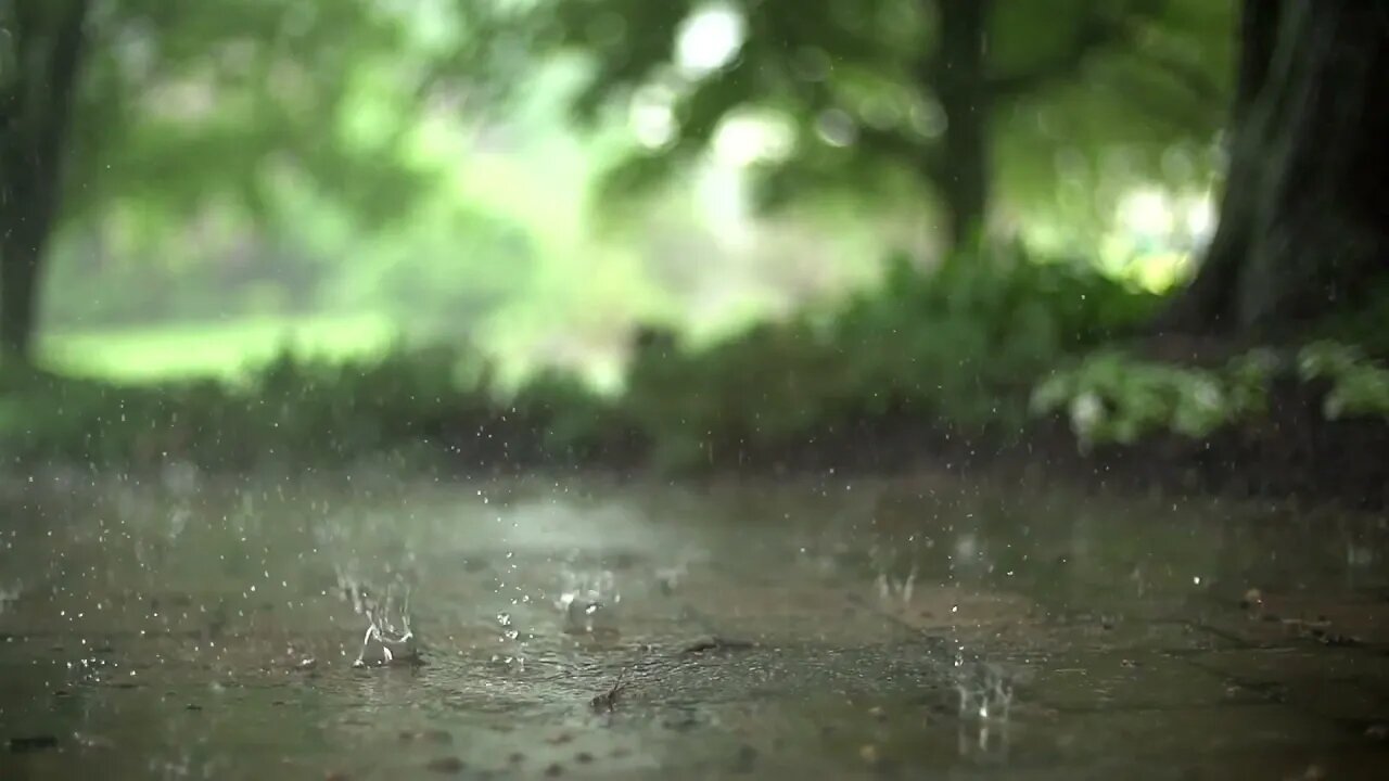 Rain in slow motion | Relaxing video | Free Stock Rain Video