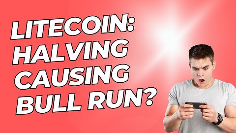 LITECOIN Upcoming Halving Causing The BULL RUN?