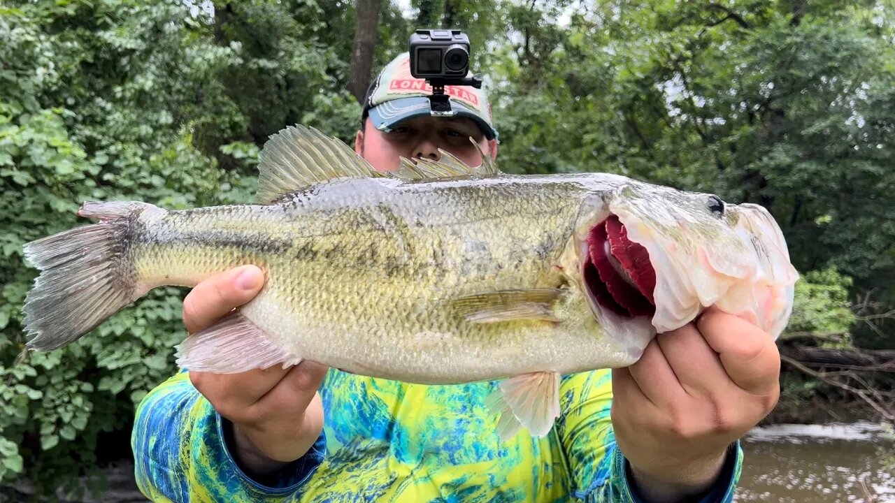 Catching Jumbo Bass during Flash Flood!