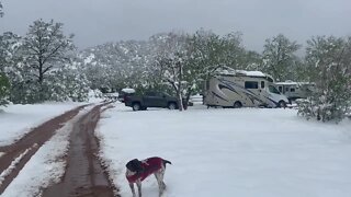 May 2022 Snowstorm Colorado Springs