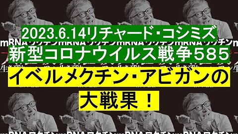 2023.06.14 リチャード・コシミズ新型コロナウイルス戦争５８５