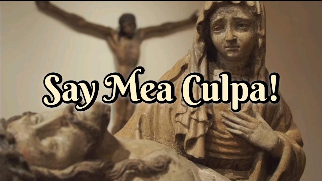 My Children, Say MEA CULPA From the Depths of Your Hearts, and Jesus Will Forgive Your Faults!