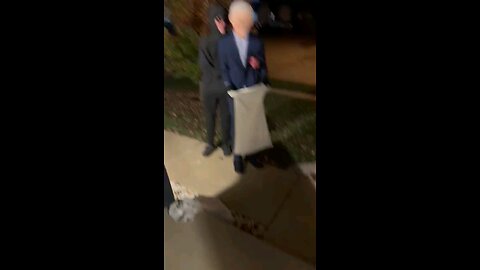 funny videos