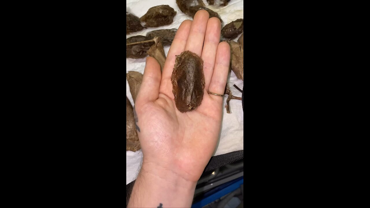 Evolution in my hands .. .