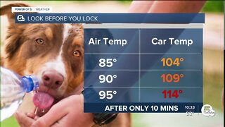 How to avoid heat exhaustion this summer