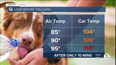 How to avoid heat exhaustion this summer
