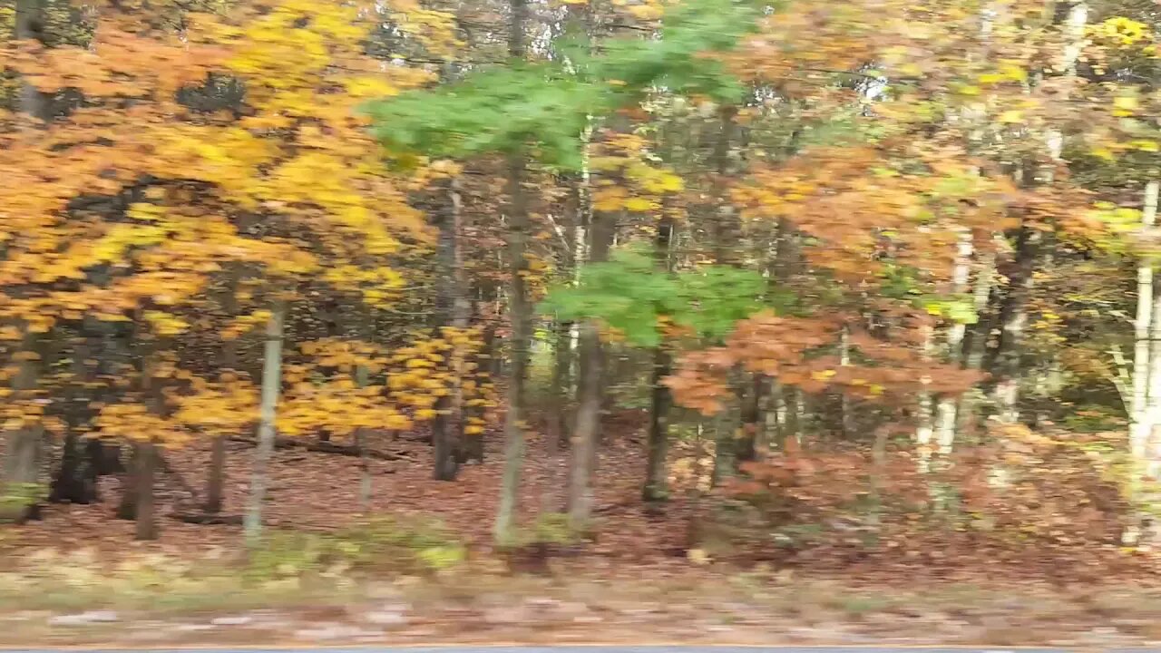 Fall foliage 2018
